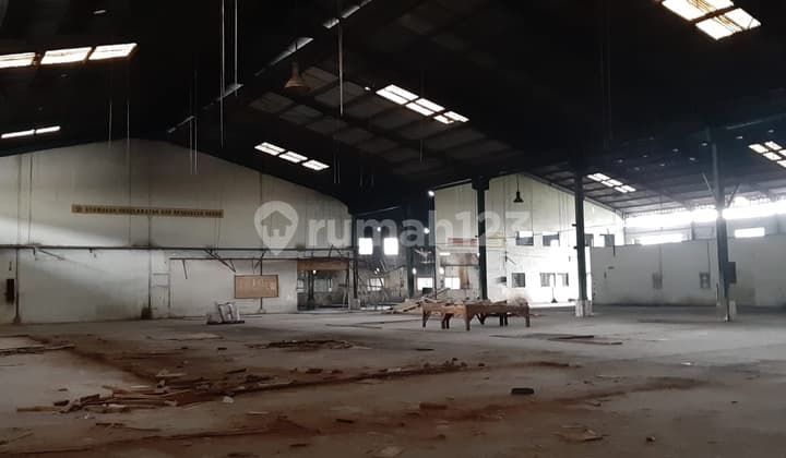 Cheap Need Fast Warehouse in Cikupa Mas Cikupa