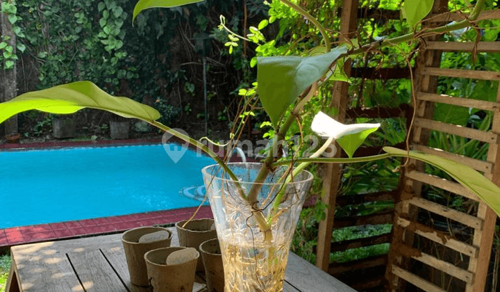 Ready-to-Live House in Pondok Labu with Pool