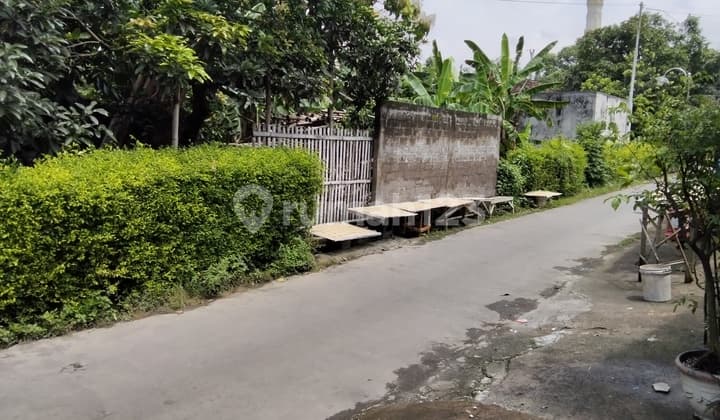 Tanah Pekarangan Dekat Kampus Cocok untuk Kost