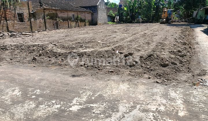 Tanah Pekarangan Murah Cocok untuk Investasi