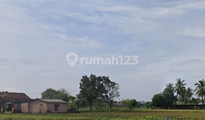 Tanah di Ganjarsari, Metro Barat, Metro City, Lampung