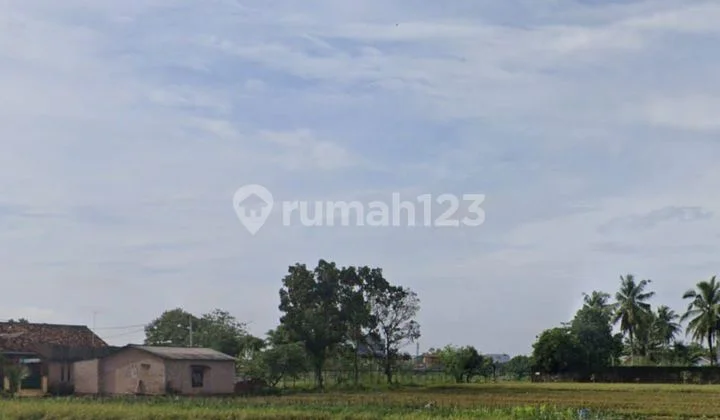 Land in Ganjarsari, West Metro, Metro City, Lampung