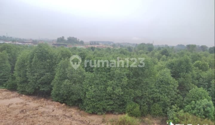 Dijual Murah Lahan Industri Tanjung Uncang Kota Batam