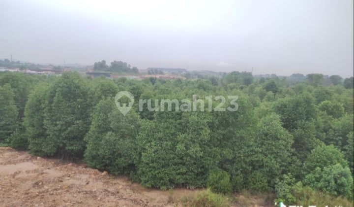 Dijual Murah Lahan Industri Tanjung Uncang Kota Batam