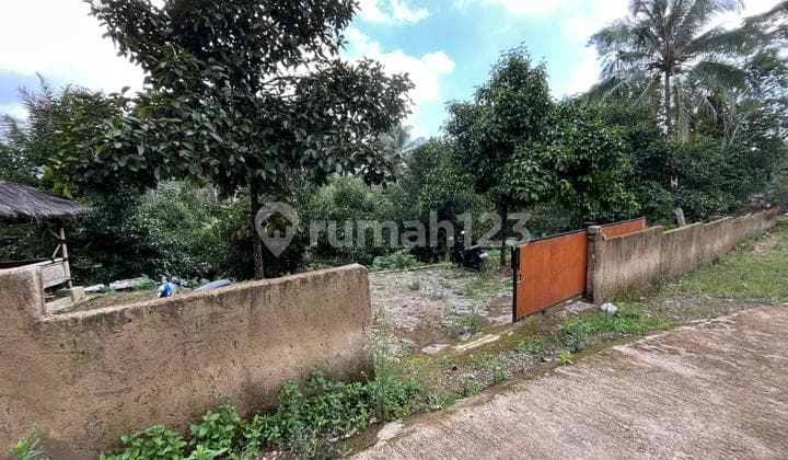 Tanah Kebun Manggis Sudah Pagar Kelingling + Toilet + Listrik di Purwakarta