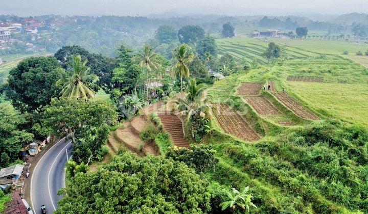 Jual Murah Tanah Pinggir Jalan Raya Subang Purwakarta Luas 2660 m2