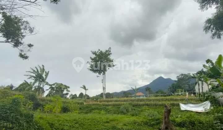 Jual Tanah Darat dan Sawah Ada Air Mengalir Pemandangan Bagus di Subang Tanah