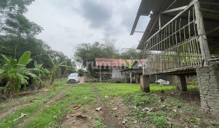 Dijual Tanah Dan Kandang Bekas Peternakan Ayam di Cibatu Purwakarta