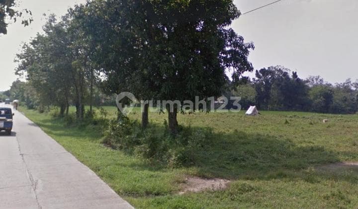 Jual Murah Tanah Datar Pinggir Jalan Kawasan Pabrik Dan Industri di Subang