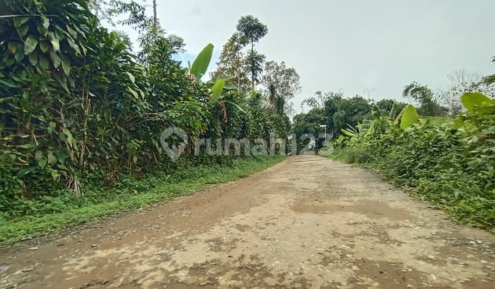 Dijual Tanah Kebun Pinggir Jalan di Bojong Purwakarta Dekat Lapangan Bola