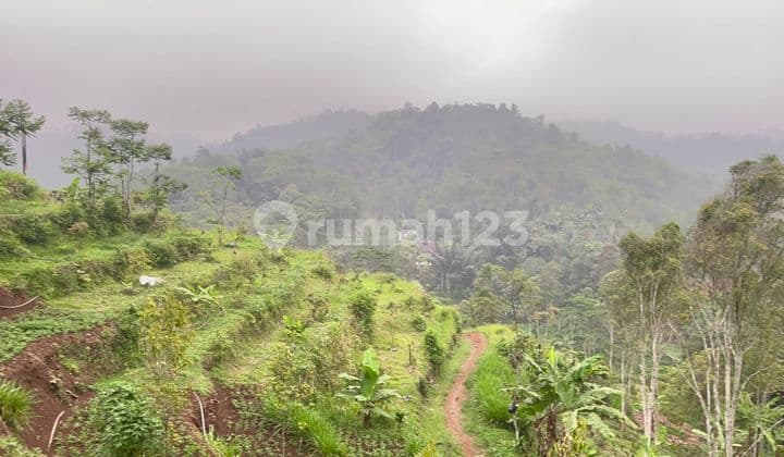 Jual Murah Tanah Kebun Durian + Bangunan di Cikalong Bandung Barat