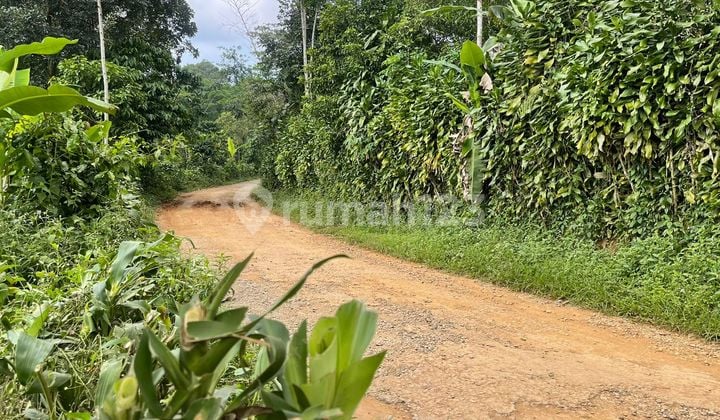 Tanah Kebun Pinggir Jalan Kampung Di Bojong Purwakarta Dijual Murah