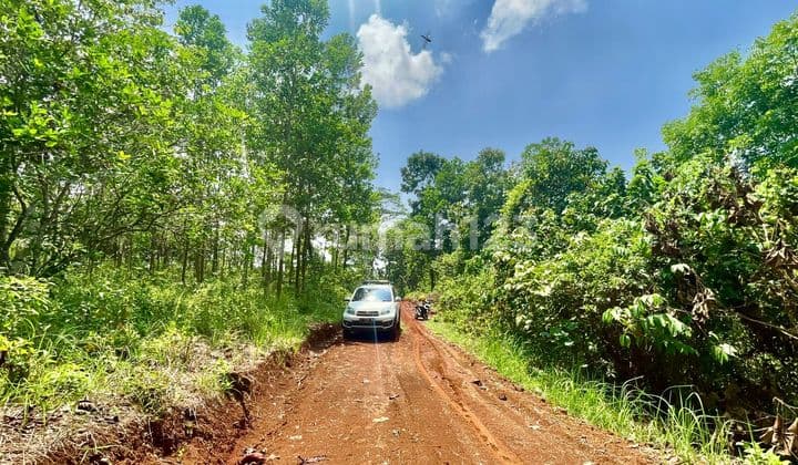 Dijual Murah Tanah Cocok Ternak Kambing / Sapi di Cibatu Purwakarta