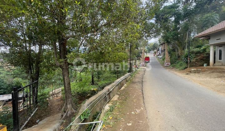 Tanah Kebun dan Rumah Bambu Pinggir Jalan Lebar