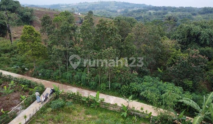 Dijual Tanah Kebun Cocok Perkebunan Peternakan 1883 m2 Bojong Purwakarta
