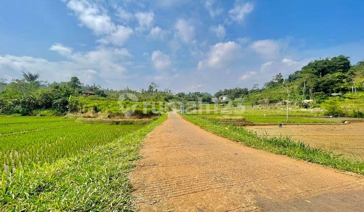 Jual Tanah Sawah 1675 m2 Dekat Gerbang Tol Darangdan Purwakarta