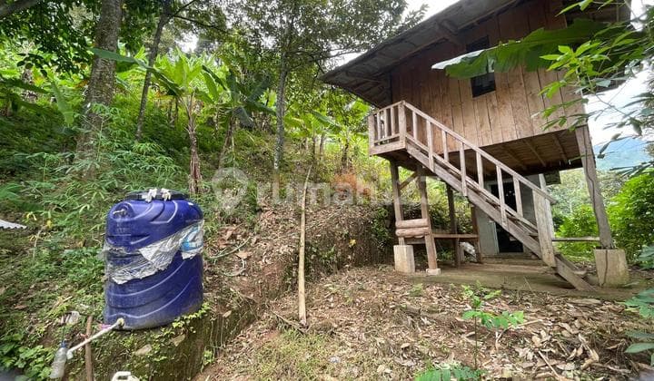 Dijual Murah Tanah Kebun Durian 3,3 Ha di Tegalwaru Karawang