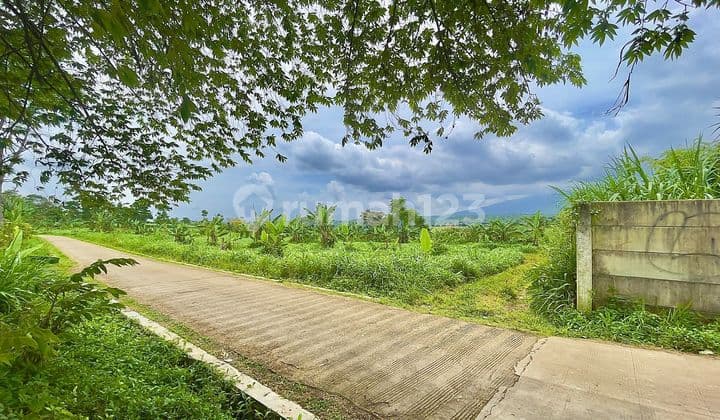 Tanah Datar Dataran Tinggi 1,9 Ha Dijual Murah di Darangdan Purwakarta