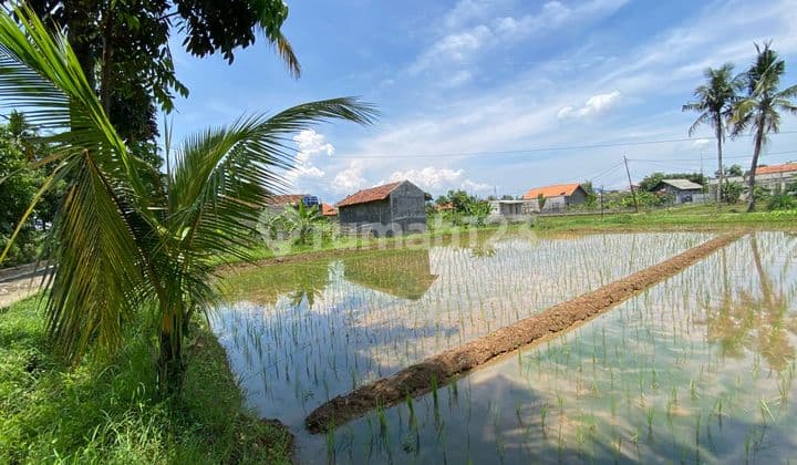Dijual Tanah Sawah Bisa Akses Mobil di Munjul Purwakarta Kota