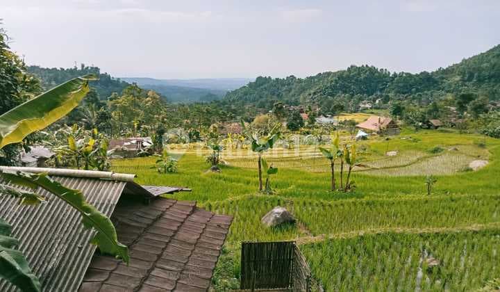 Jual Tanah Kebun di Daerah Dingin Desa Wisata Cihanjawar Purwakarta