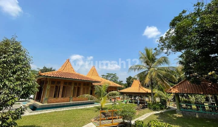 Jual Villa Mewah dan Kebun Durian Nangka dll di Sukatani Purwakarta