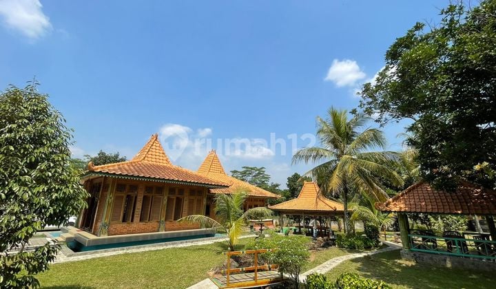 Jual Villa Mewah dan Kebun Durian Nangka dll di Sukatani Purwakarta