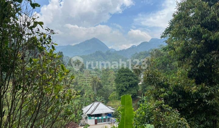 Jual Tanah Kebun Cengkeh + Manggis di Dataran Tinggi Bojong Purwakarta