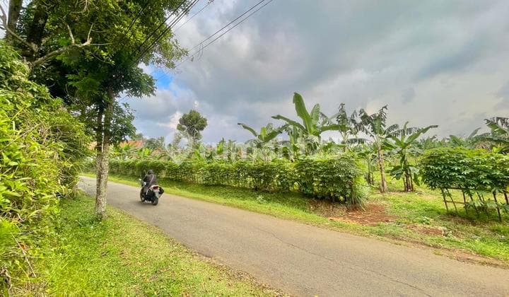Dijual Tanah Kebun Satu Menit ke Exit Tol Darangdan Purwakarta