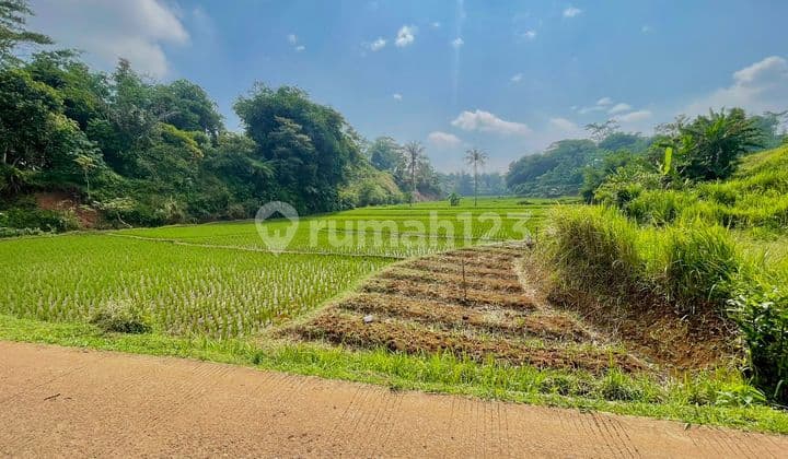 Tanah Sawah Produktif Pinggir Jalan Dekat Gerbang Tol Darangdan