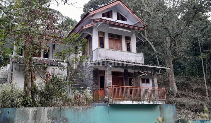 Cheap Sale Villa House + Rice Field + Mangosteen Garden in Kiarapedes Purwakarta