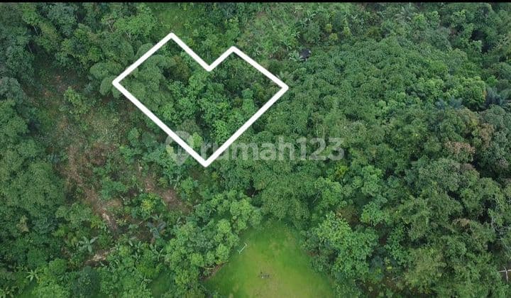 Tanah Murah Kebun Produktif di Desa Sukamanah Bojong Purwakarta