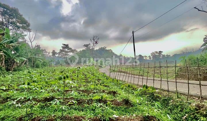 Jual Murah Tanah Pinggir Jalan Mobil Udara Dingin di Bojong Purwakarta