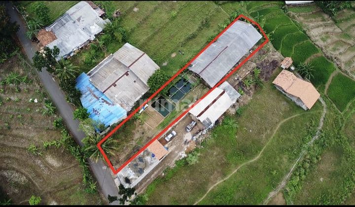 Jual Tanah dan Bangunan Budidaya Ikan Lele Pinggir Jalan Pondoksalam Purwakarta