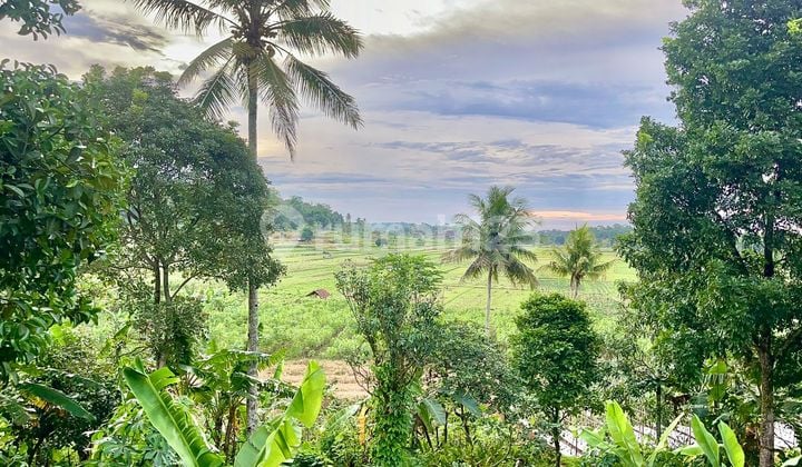 Jual Tanah Sebelah Villa Pinggir Jalan View Pesawahan Wanayasa Purwakarta