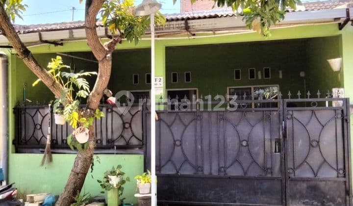 Rented Out Nice House Plamongan Sari Pedurungan Semarang