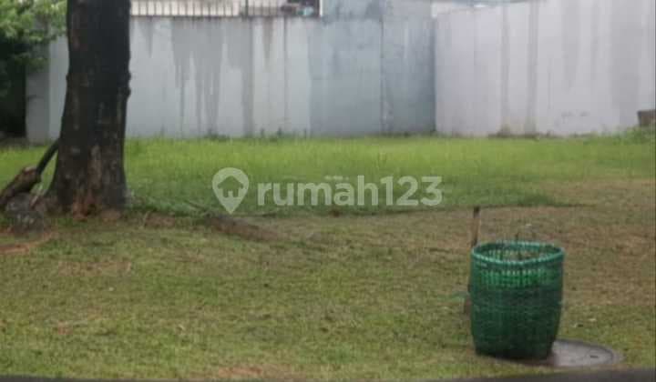 Quick Sale - Anthea BSD Hook Cluster Lot