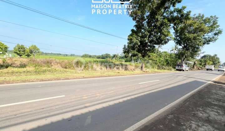 Dijual Murah Tanah Peruntukan; Hotel, Cluster, Gudang Dll Lokasi Strategis di Jalan Raya Subang