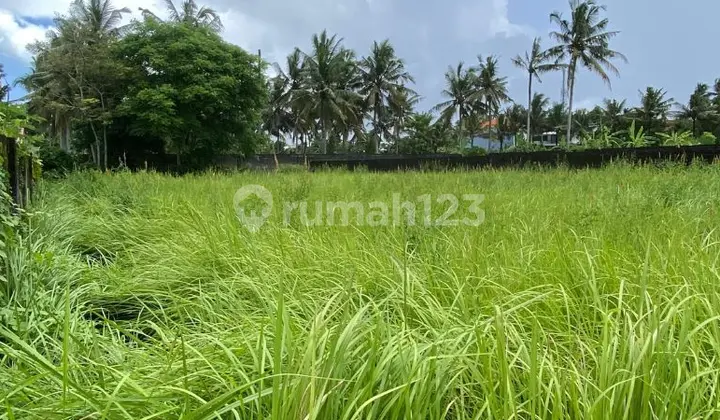 Tanah Bagus dan Strategis 20 Are di Ubud Gianyar