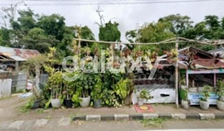 TANAH DI KEBUN RAYA BEDUGUL CANDI KUNING BATURITI TABANAN, BALI