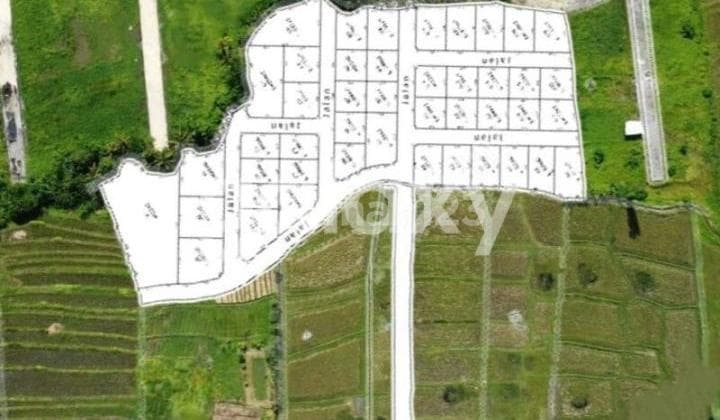 Tanah Kavling View Sawah Raya Pantai Kedungu Belalang Kediri Tabanan, Bali