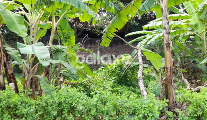 TANAH TANGKUBAN PERAHU PADANGSAMBIAN DENPASAR, BALI