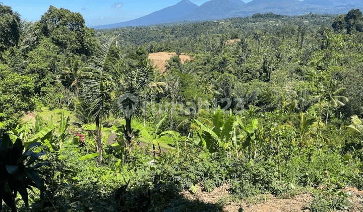Residential Zone Land in Buahan Kaja, Payangan, Ubud, Gianyar