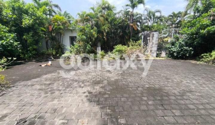 Tanah Premium Siap Bangun di Petitenget Seminyak Kerobokan Badung, Bali
