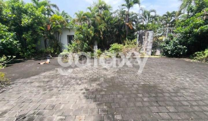 Premium Land Ready to Build in Petitenget, Seminyak, Kerobokan, Badung, Bali