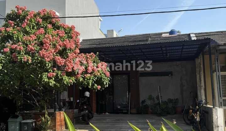 Rumah 1 Lantai SHM Full Furnished Bebas Banjir Dekat Akses LRT di Perumahan Essence Park, Bekasi