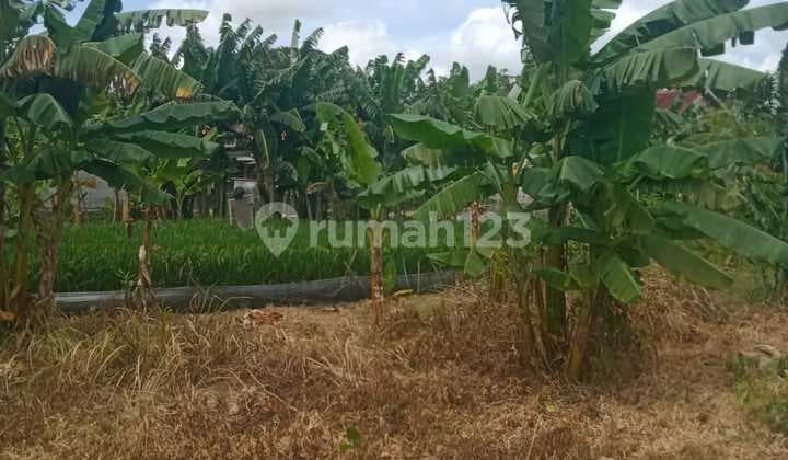 DIJUAL LAHAN STRATEGIS LOKASI CIBITUNG WANASARI