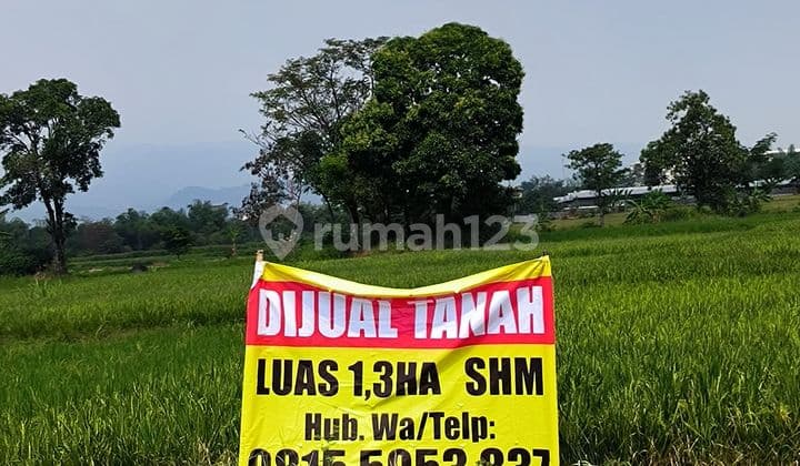 Dijual Tanah Purwosari Pasuruan Sukodermo Lokasi Bagus Cck Utk Industri
