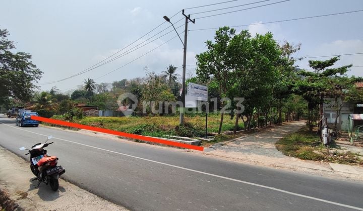 Land price drop on Re Martadinata Street, B. Lampung.