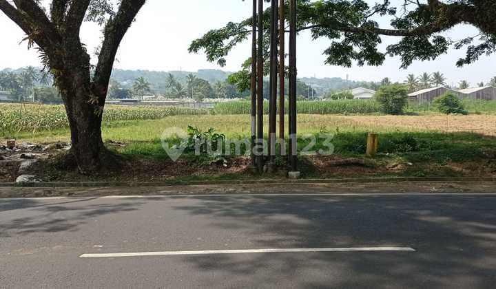 Land Location on Mayjend Sungkono Main Road, Malang