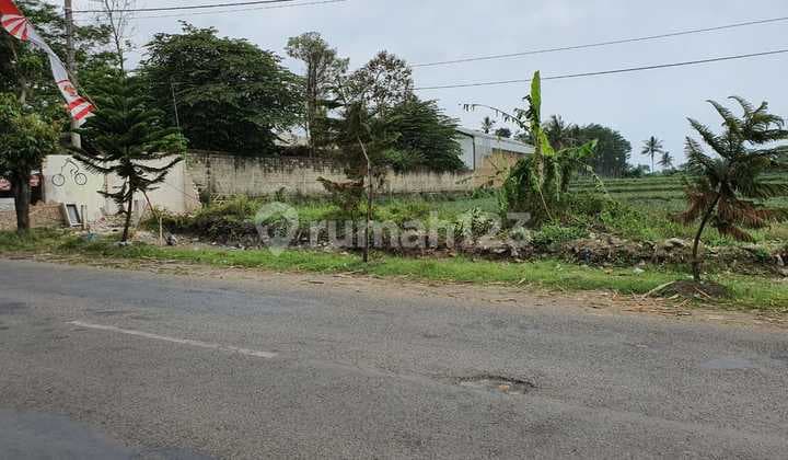 Lahan 1 Hektar Sumber Pasir Pakis Kabupaten Malang